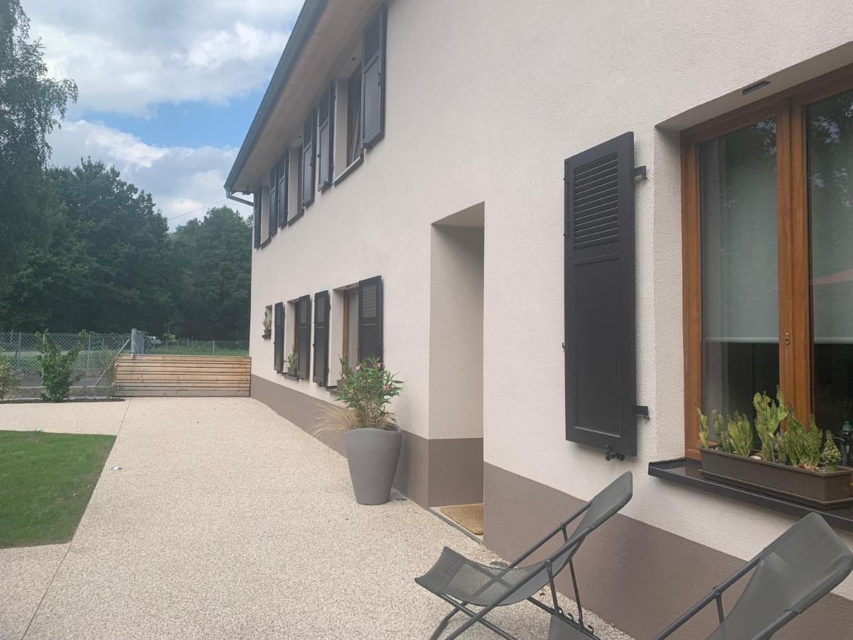 Les Hirondelles Apartment Wintzenheim Exterior foto
