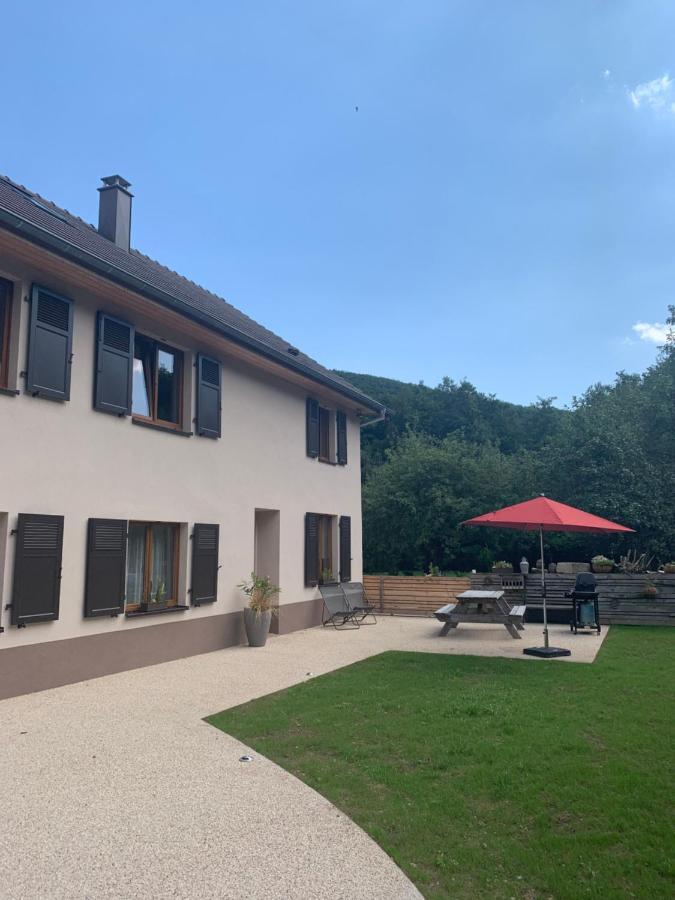 Les Hirondelles Apartment Wintzenheim Exterior foto