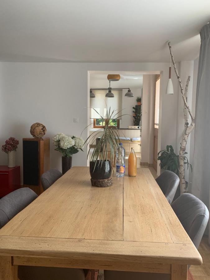 Les Hirondelles Apartment Wintzenheim Exterior foto